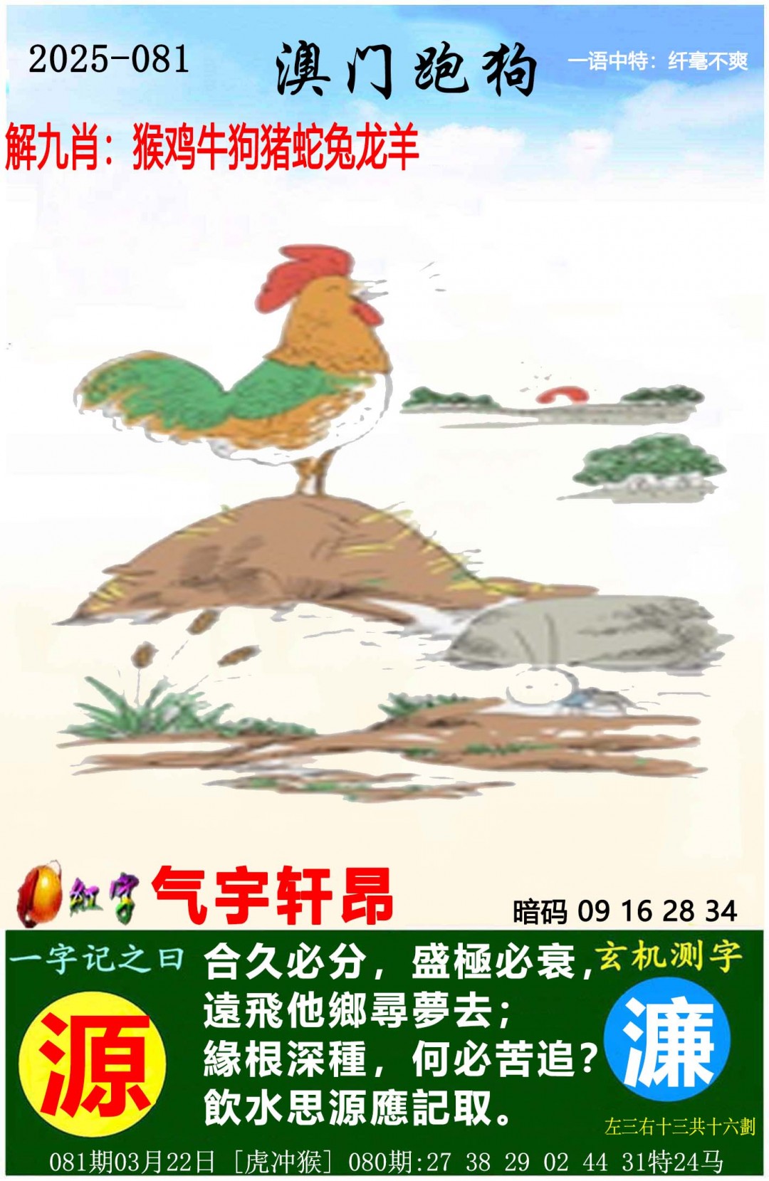澳门跑狗