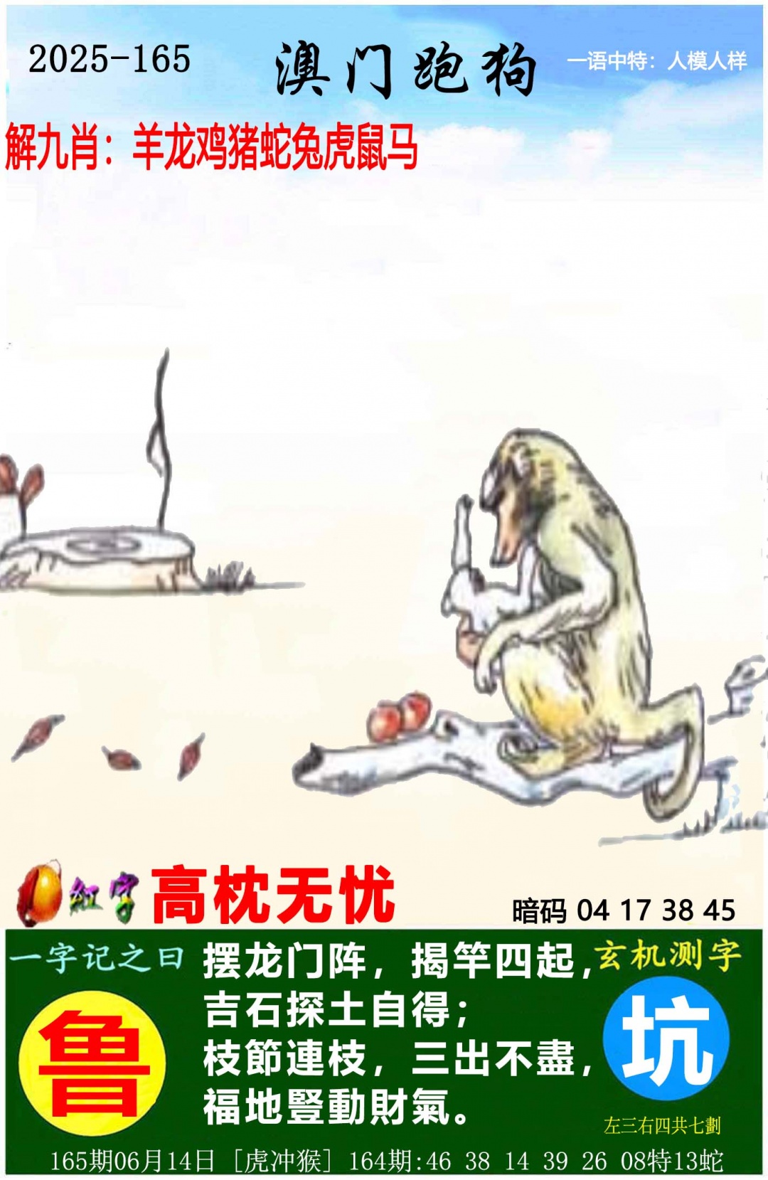 澳门跑狗