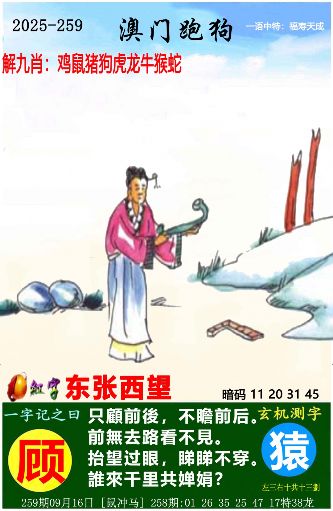 澳门跑狗